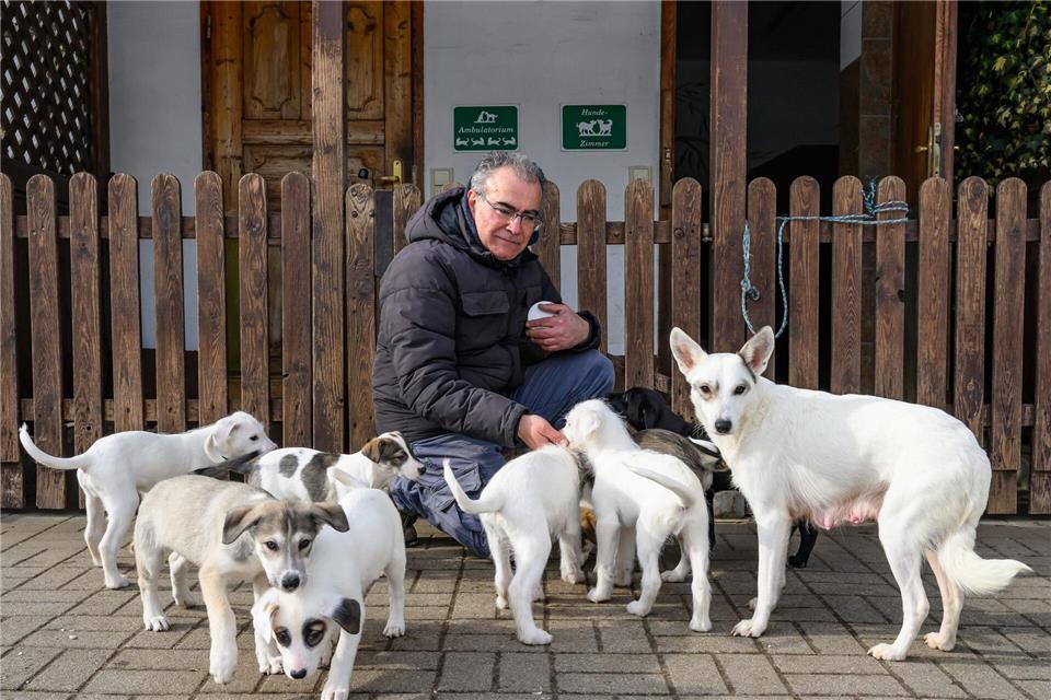 Hasan Tatari kümmert sich um Hündin Sophia und ihre Welpen.Patrick Pleul/dpa
