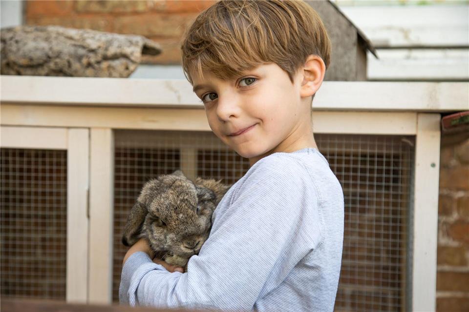 Haustiere sind keine Kuscheltiere und sollten Kindern nur unter Aufsicht nahekommen.picture alliance / dpa-tmn