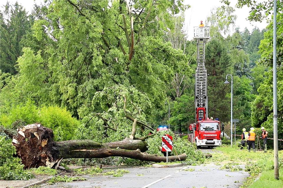 Heftige Sturmböen sorgten am Montag für umgeknickte Bäume und blockierte Straßen und Gleise in Chemnitz und Umgebung.Andr� M�rz/News5/dpa