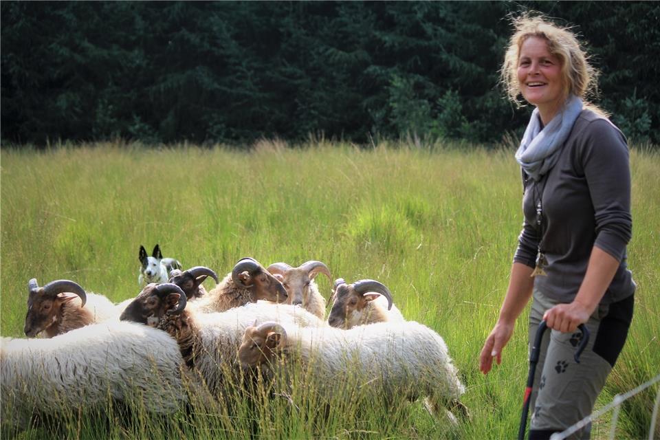Heike Kickel hat diesmal Schafböcke in den Raesfelder Tiergarten mitgebracht. Sie zu hüten, ist nicht einfach, sagt sie.