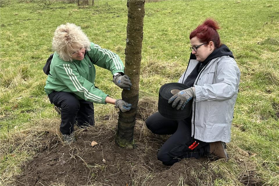 Helen und Susanne aus Wulfen bringen ein Polynet an.