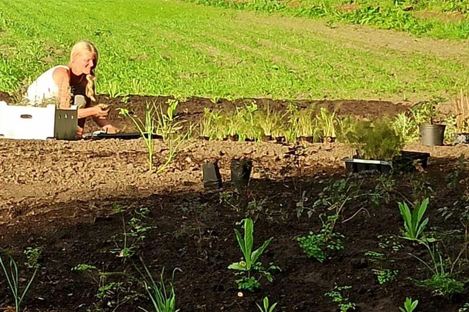 Helfer waren fleißig, um das Gelände an der Kulturwiese umzugestalten.