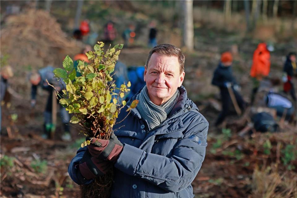 Helferinnen und Helfer engagieren sich für einen widerstandsfähigen Harzwald.Matthias Bein/dpa
