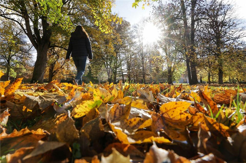 Sonne im Süden, Böen im Schwarzwald – Herbst zeigt Kontraste Herbstchaos am Dienstag: Erst Regen, dann Sonne.Thomas Warnack/dpa