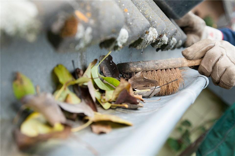 Herbstlaub kann Regenrinnen verstopfen: Eine regelmäßige Kontrolle und Reinigung sind wichtig.picture alliance/dpa/dpa-tmn