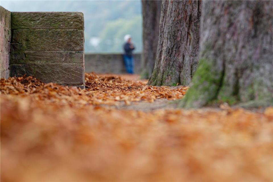 Herbstlaub liegt allenthalben auf den Wegen. Uwe Anspach/dpa