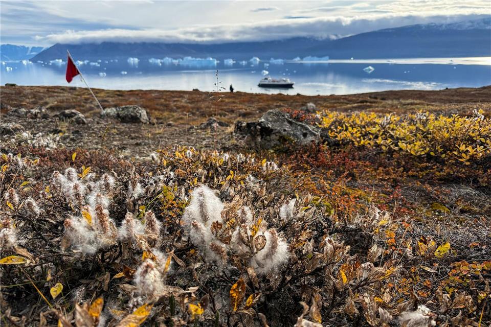 Herbstliche Tundra im Harefjord: Auch wenn die Bedingungen harsch sind, ist die Landschaft überraschend farbenfroh.Verena Wolff/dpa-tmn