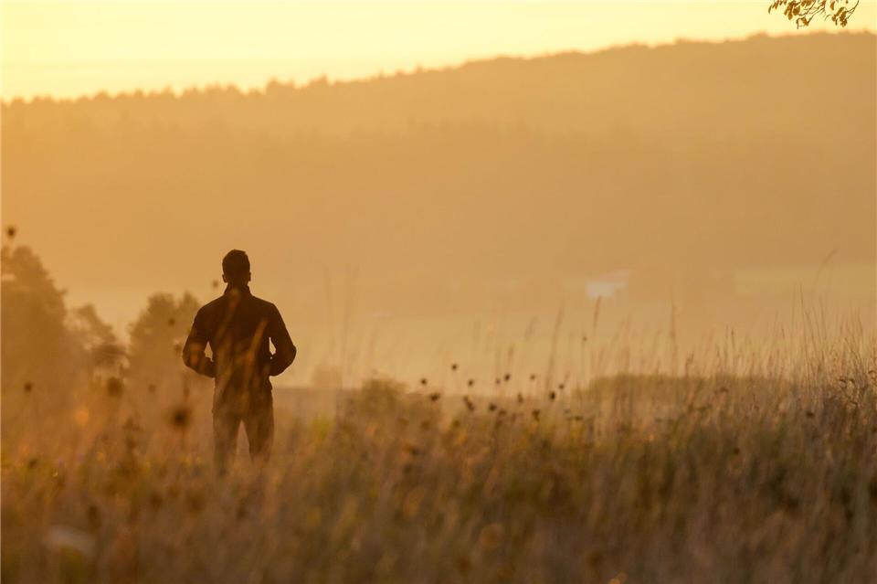 Herbstnebel bestimmt den Start in den Tag.Thomas Warnack/dpa
