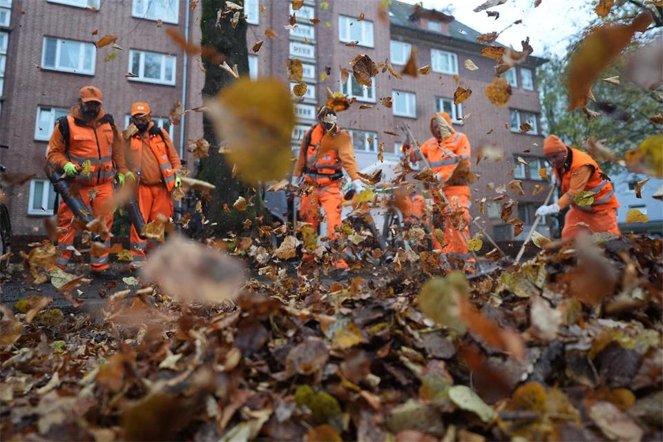 Herbstzeit ist Laubzeit für die die Mitarbeitenden der Hamburger Stadtreinigung. (Archivbild)Marcus Brandt/dpa