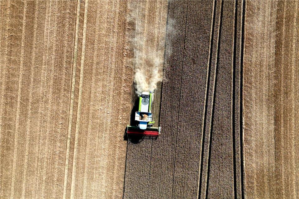 Hessens Landwirte konnten 2025 durchschnittlich 71,3 Dezitonnen Getreide je Hektar Anbaufläche dreschen (Archivbild).Federico Gambarini/dpa