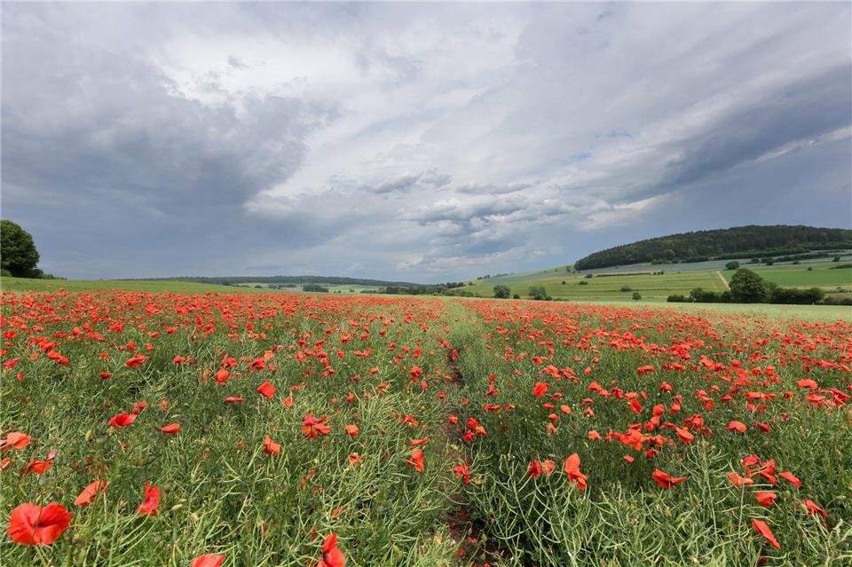 Hessens Wetter ist in den kommenden Tag durchwachsen. (Archivbild)Thomas Warnack/dpa