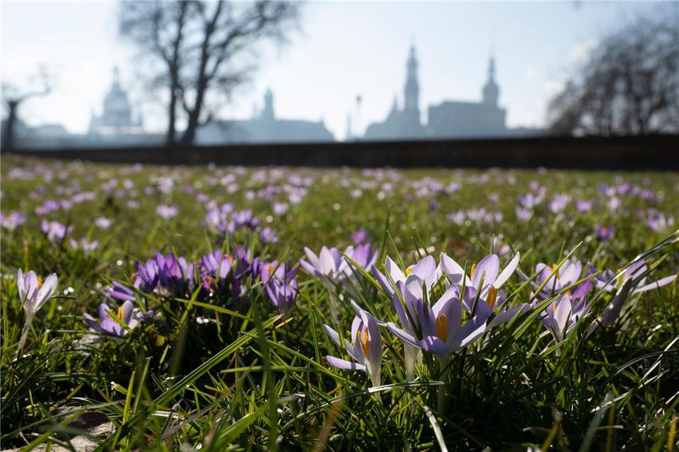 Heute klettern die Temperaturen im Freistaat auf bis zu 18 Grad.Sebastian Kahnert/dpa