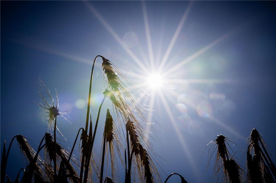 Wolken und Sonne in Berlin und Brandenburg Heute zeigt sich das Wetter in der Hauptstadtregion meist freundlich und sommerlich warm – nach morgendlichem Nebel. (Archivbild) Christoph Soeder/dpa