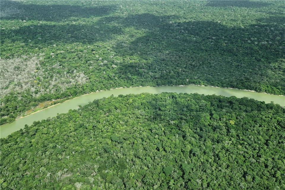 Hier ist der Wald intakt – doch an vielen Stellen ist er schon verloren.Larissa Schwedes/dpa