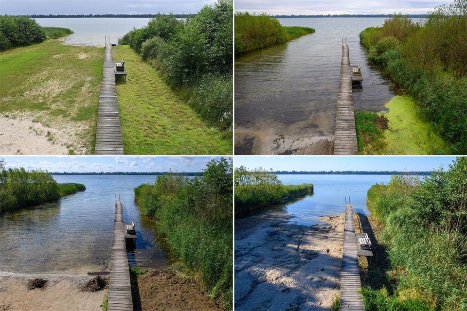 Hier ist eine Badestelle am Ufer des Arendsees in der Altmark zu sehen - im Jahr 2023 (oben links), 2024 (oben rechts), 2025 (unten links) und 2026 (unten rechts). Klaus-Dietmar Gabbert/dpa