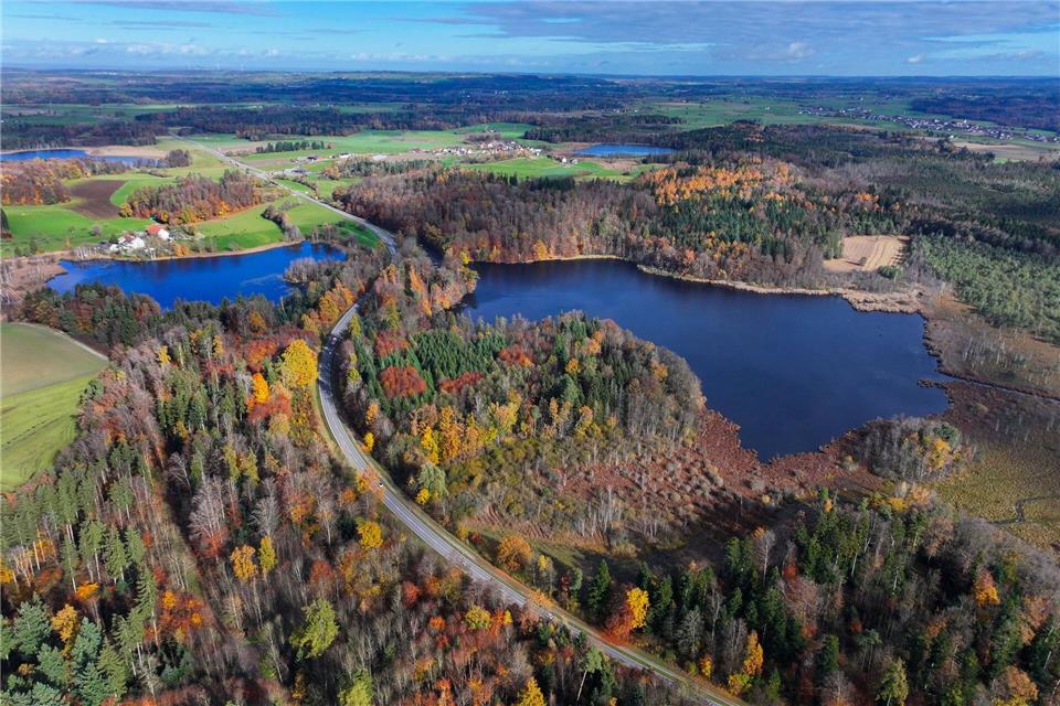 Hier sollte ein neues Schutzgebiet entstehen, das nun gestoppt wurde. Felix Kästle/dpa