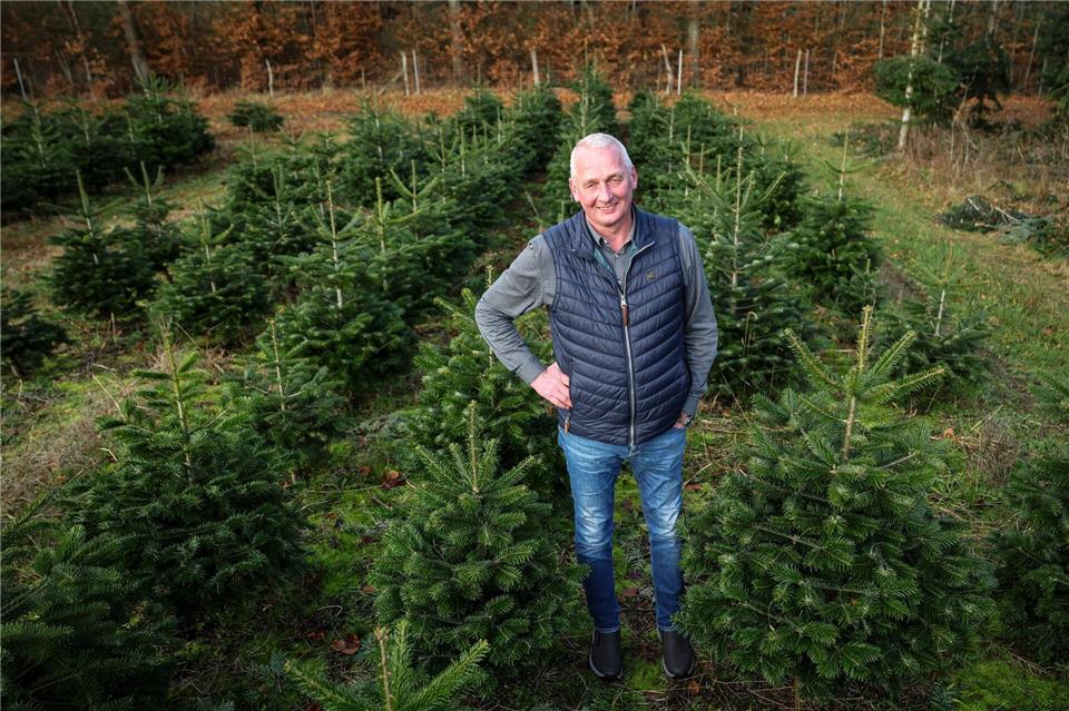 Hier wachsen die Weihnachtsbäume für die kommenden Jahre.Christian Charisius/dpa