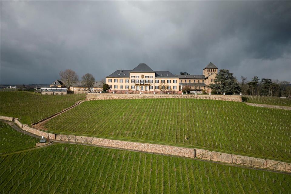 Hier will Gordon Schnieder Wahlkampf machen: auf Schloss Johannisberg. (Archivfoto)Boris Roessler/dpa