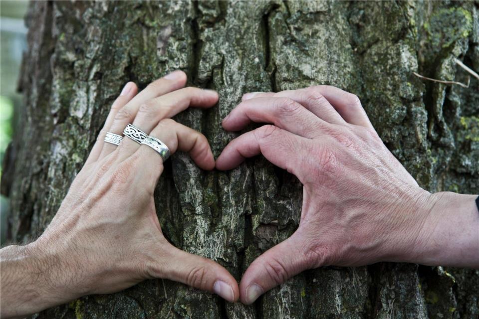 Hilfreich in einer Partnerschaft allgemein - und natürlich auch bei Fernbeziehungen: sich über Bedürfnisse und Gefühle austauschen.picture alliance/dpa/dpa-tmn