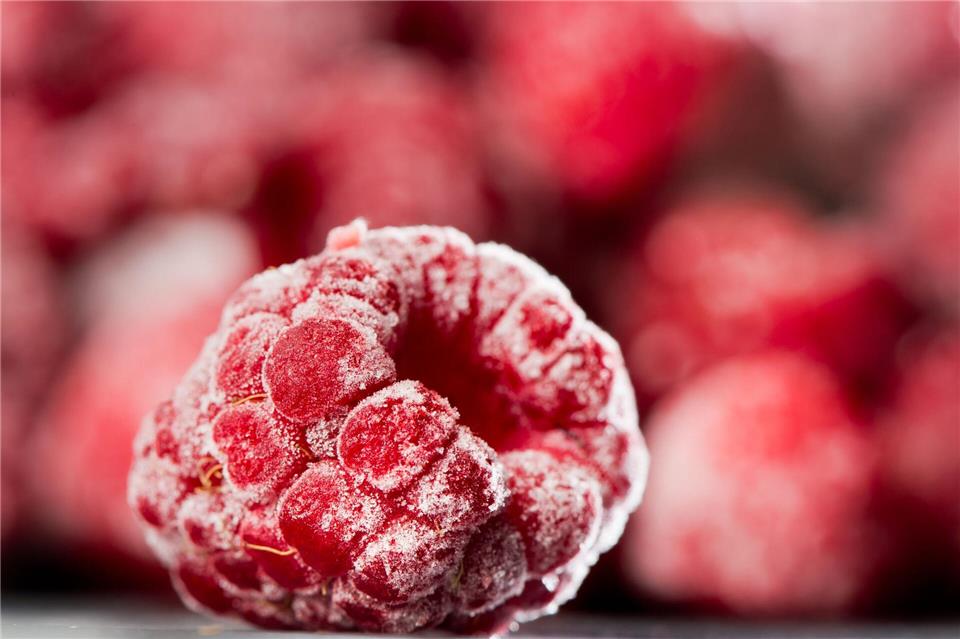Himbeeren auf Vorrat: Obst lässt sich meist problemlos einfrieren – praktisch, wenn im August alles auf einmal reif wird.Franziska Gabbert/dpa-tmn