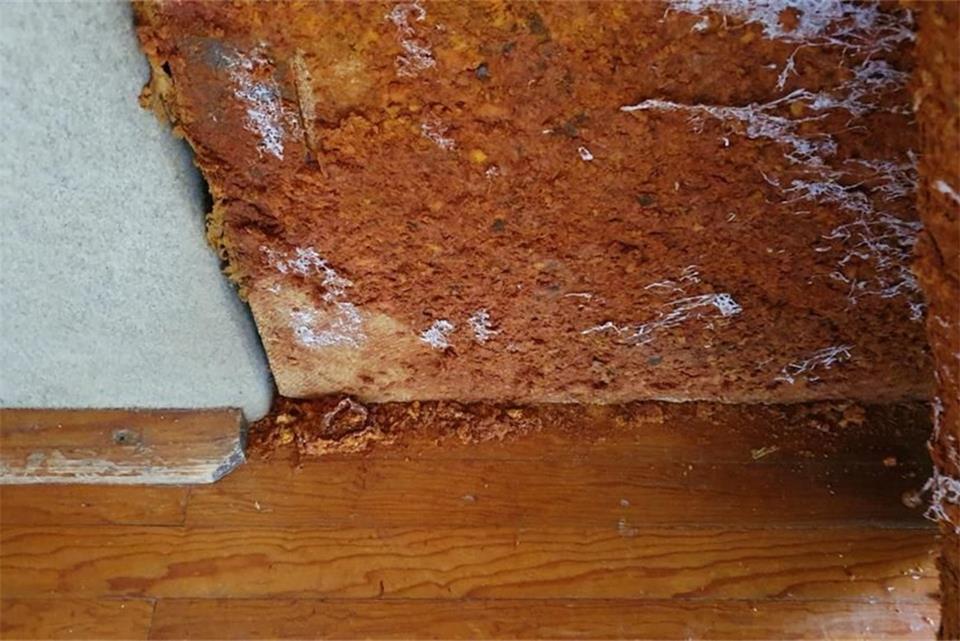 UWG: Turnhalle in Borkenwirthe sofort sanieren Hinter den Wandabdeckungen sieht es gar nicht gut aus.