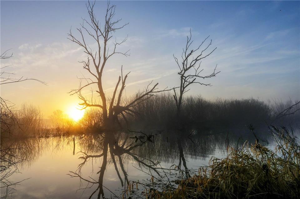 Hinter einem Biotop in Riedlingen geht am Morgen die Sonne auf.Thomas Warnack/dpa