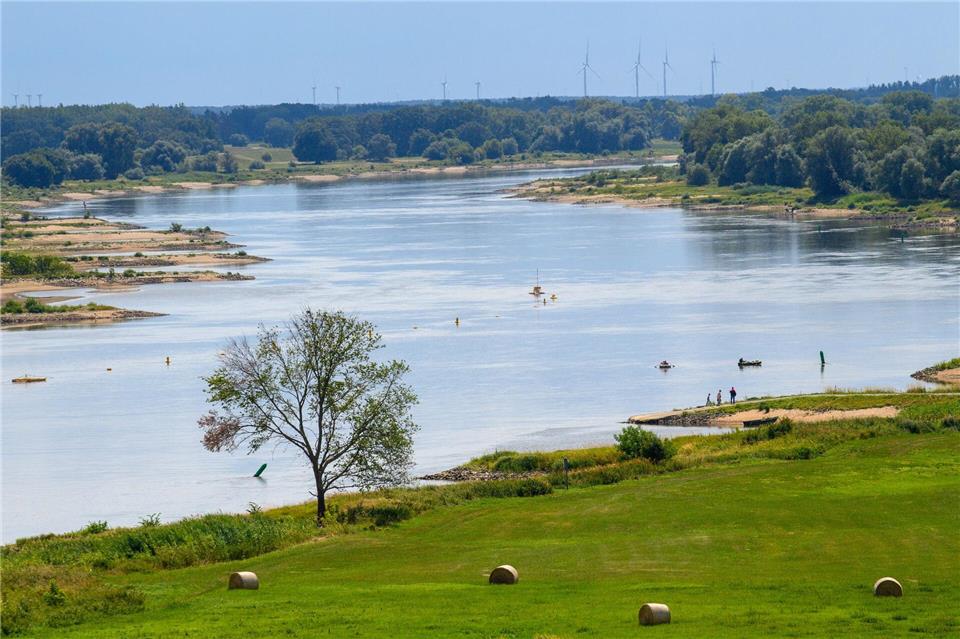 Hitze und Trockenheit lassen die Wasserstände an Sachsen-Anhalts Flüssen weiter sinken. (Archivbild) Klaus-Dietmar Gabbert/dpa