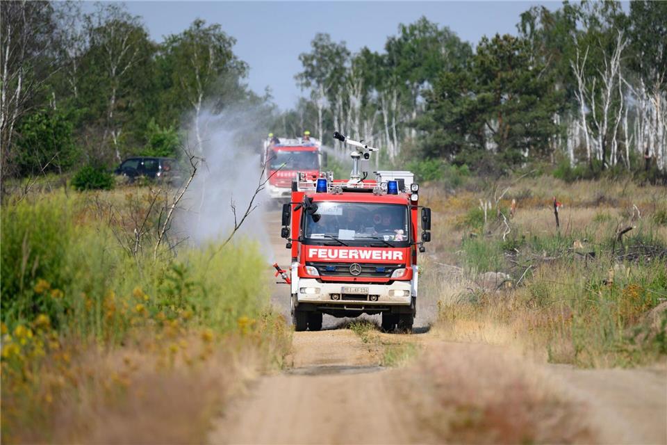 Hitze und Wind erschweren die Löscharbeiten in der Gohrischheide. Robert Michael/dpa