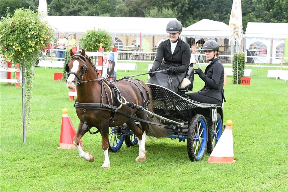 Hochkonzentriert: Vom Nachbarverein RV Velen war Luisa Greting beim Sommer-Turnier der Fahrsportfreunde Ramsdorf zu Gast.