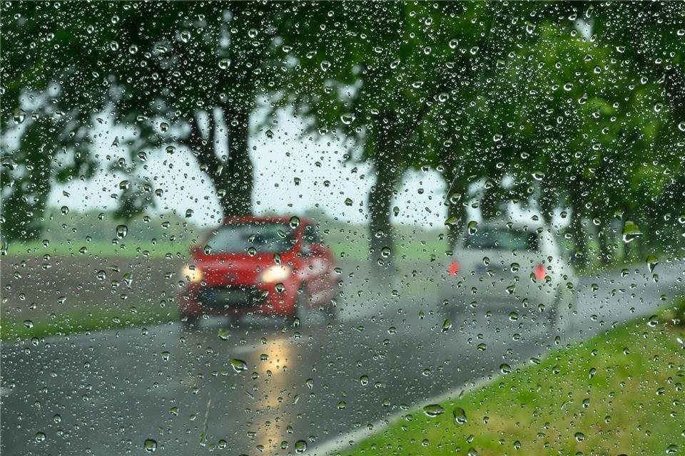 Höchsttemperaturen bis zu 17 Grad kündigt der Deutsche Wetterdienst (DWD) in den nächsten Tagen für Berlin und Brandenburg an. (Symbolbild)Patrick Pleul/dpa