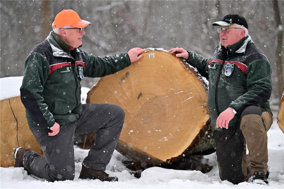 Hölzer aus Thüringens Wäldern  wurden versteigert.Martin Schutt/dpa