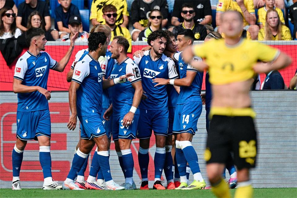 Hoffenheim jubelt, BVB-Profi Ryerson ist frustriert.Uwe Anspach/dpa