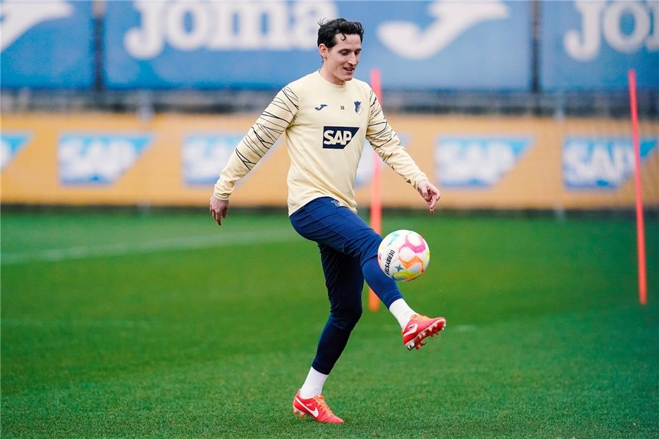 Hoffenheims Sebastian Rudy beendet seine Karriere.