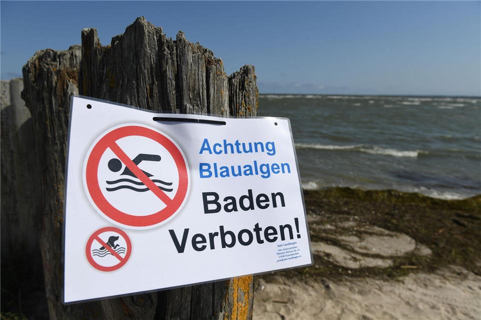 Hohe Nährstoffbelastung und sauerstoffarmes Wasser sind Kennzeichen des schlechten ökologischen Zustands der Ostsee. (Archivbild)Stefan Sauer/dpa-Zentralbild/dpa