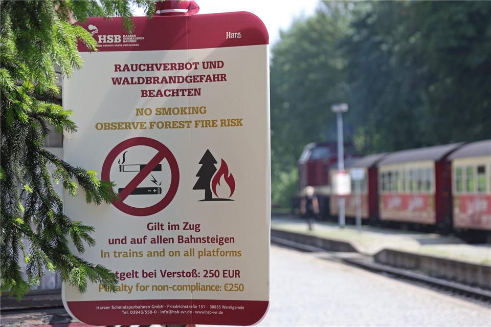 Hohe Temperaturen und Trockenheit erhöhen derzeit in weiten Teilen Sachsen-Anhalts die Waldbrandgefahr. (Symbolbild) Matthias Bein/dpa