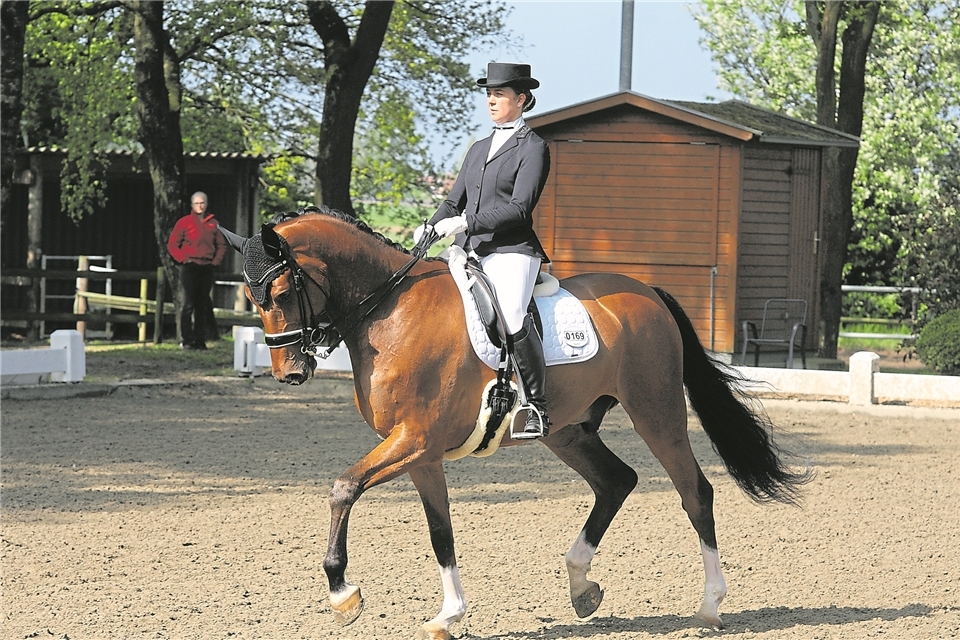 Holte sich einmal mehr den Dressur-Kreistitel: Die für den ZRFV Heiden startende Luisa Gatzke siegte bei den Titelkämpfen in Gescher mit klarem Vorsprung.Hahn