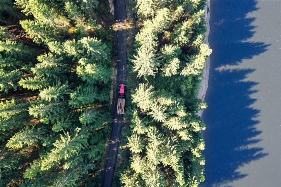 Holz wird nach dem Einschlag in einem Waldstück im Forstbezirk Eibenstock transportiert.Hendrik Schmidt/dpa