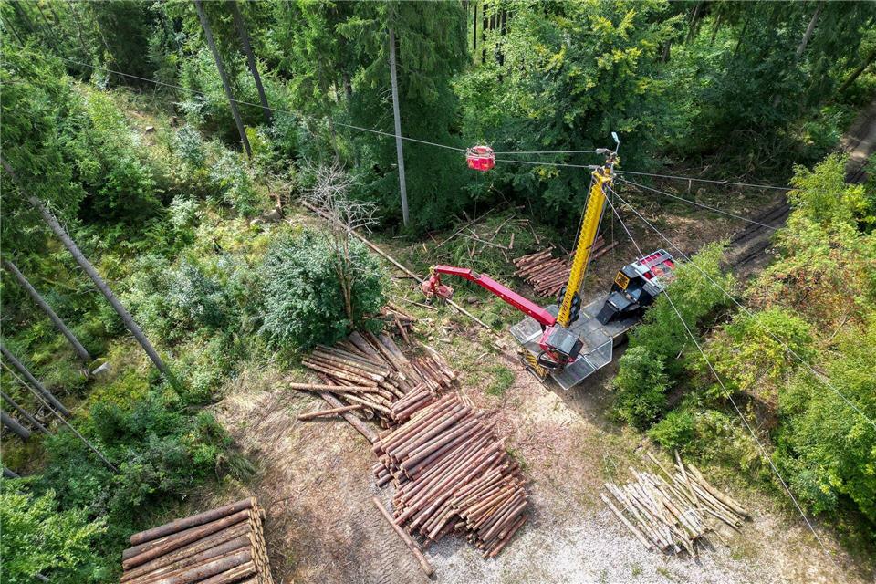 Holzarbeiten am Steilhang im Erzgebirge - in unwegsamem Gelände kommt auch ein spezieller Seilkran zum Einsatz.Jan Woitas/dpa