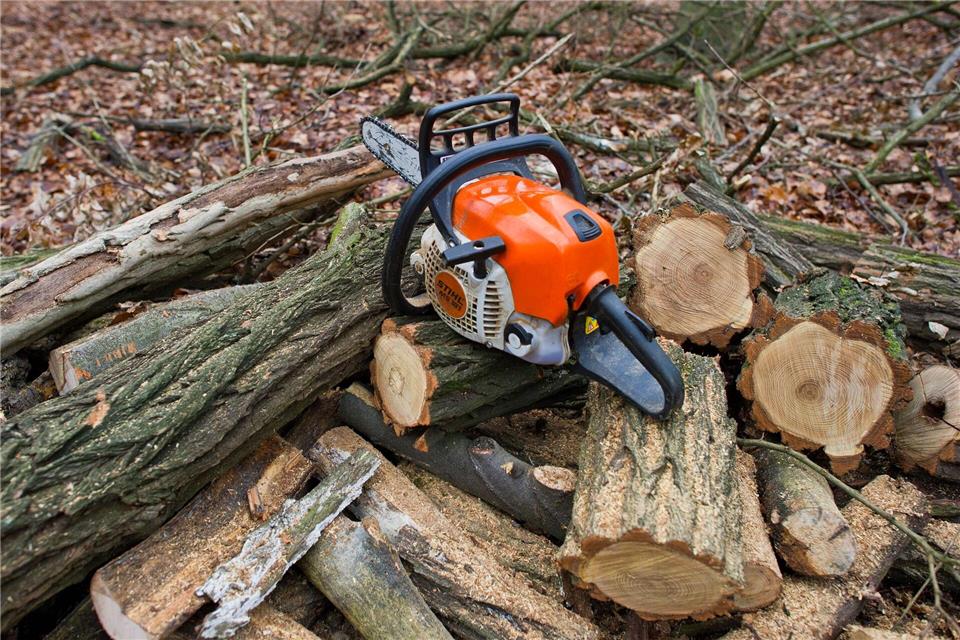 Holzeinschlag mit Motorsäge ist schwere körperliche Arbeit - auch bei Minusgraden wird Waldarbeitern warm, wie Forstexperten sagen. picture alliance / dpa