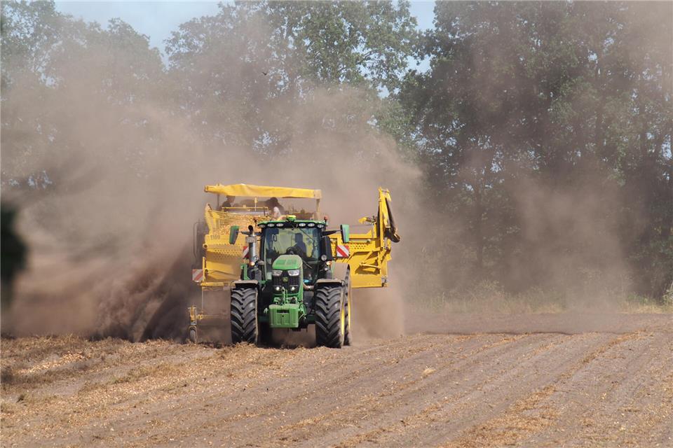 Hui, das staubt! Für die Zwiebelernte sollten Landwirte und Helfer an eine Staubmaske denken.