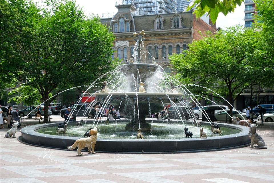 Hunde, die auf Knochen starren: Der Brunnen im Berczy Park ist ein beliebtes Fotomotiv Torontos.Christoph Jänsch/dpa-tmn