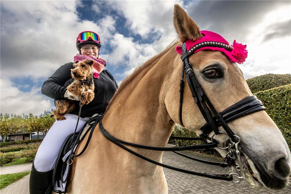 Hunden und Pferden gehört Bühne - Wettbewerb im Dog Dancing  Hunde- und Pferdefans können sich drei Tage lang zu Themen wie Gesundheit und Pflege informieren.Dieter Menne/dpa