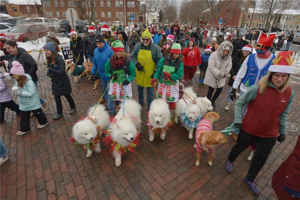 Hunde und ihre Besitzer ziehen während der jährlichen Reindog Parade durch die Innenstadt.DON CAMPBELL/The Herald-Palladium/AP/dpa