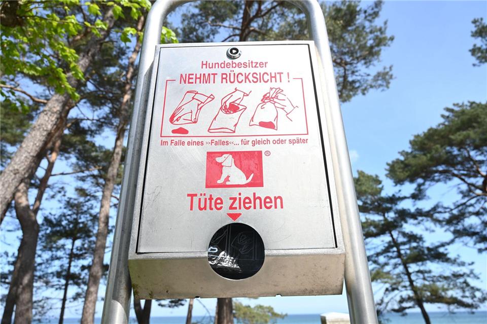 Hundekot kann die Quelle für die Übertragung von Krankheiten sein. (Symbolbild)Stefan Sauer/dpa