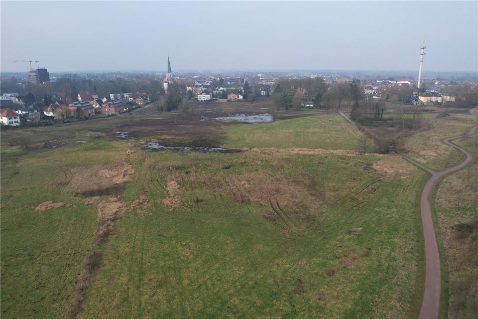 Erdwärme soll Borkener Neubaugebiet Wasserstiege versorgen Hunderte Bäume sind bereits gefällt: Die Wasserstiege wird für die künftige Bebauung vorbereitet. Geheizt werden soll in dem künftigen Wohngebiet mit Wärme aus der Erde.