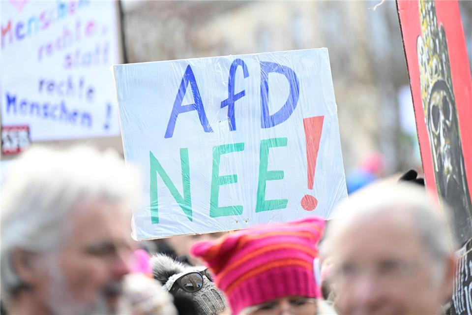 Hunderte Menschen haben gegen den AfD-Parteitag in Hechingen protestiert.Bernd Weißbrod/dpa