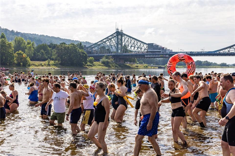 Hunderte Schwimmer stürzten sich in die Elbe. Frank Hammerschmidt/dpa