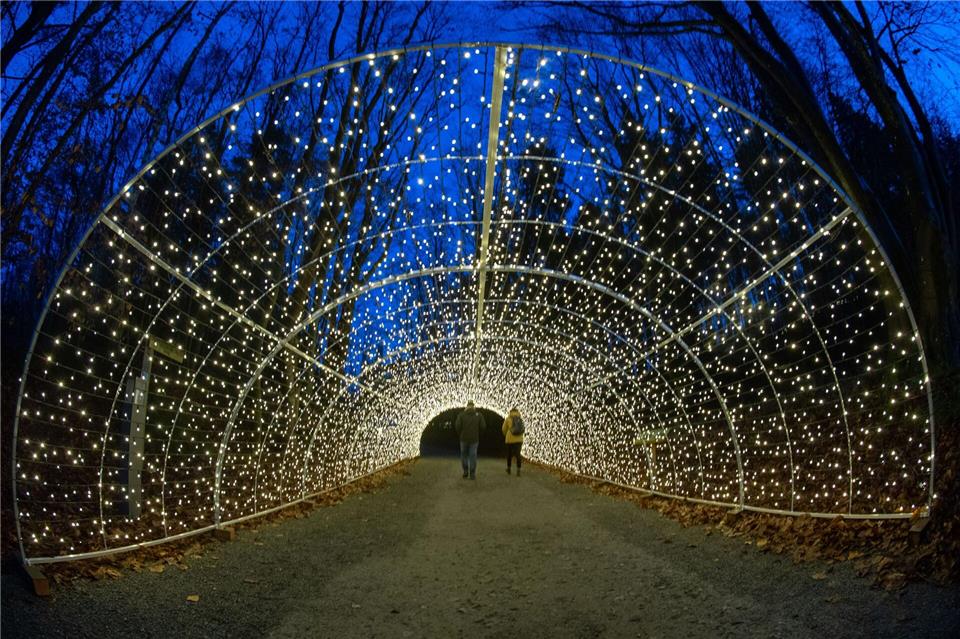 Hunderttausende LED-Lichter erhellen auch den Pfad und den Aussichtsturm „Adlerhorst“.Stefan Sauer/dpa