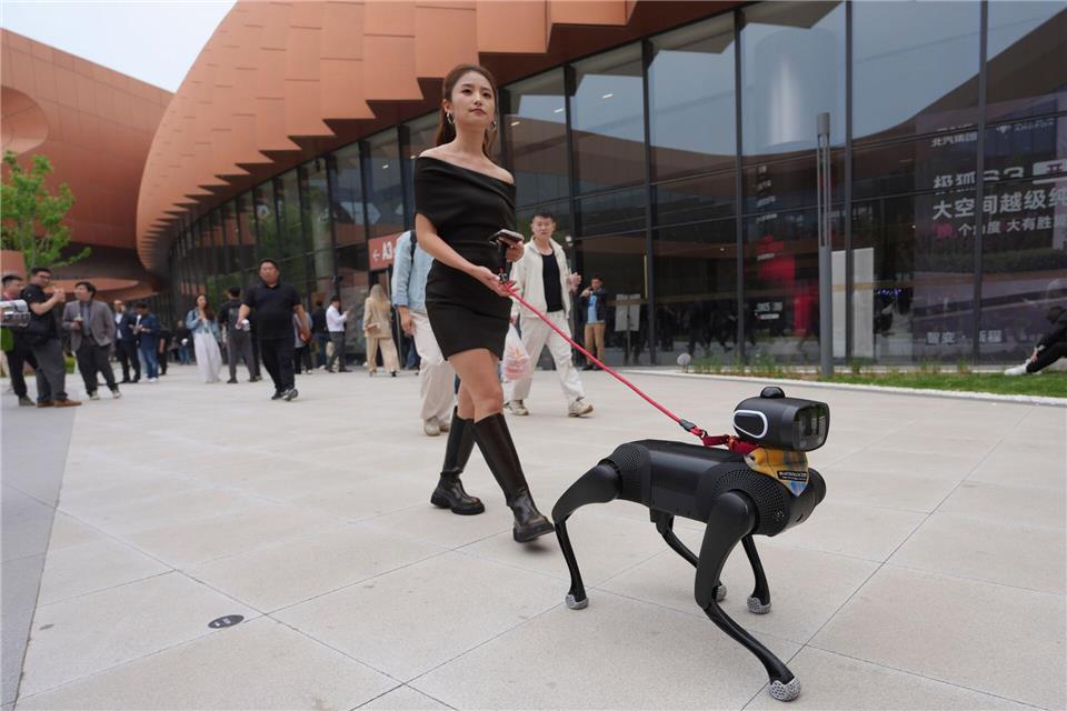 Hundesteuer gespart: Eine Frau geht mit einem Roboterhund während der Messe Auto China 2026 in Peking spazieren.Ng Han Guan/AP/dpa