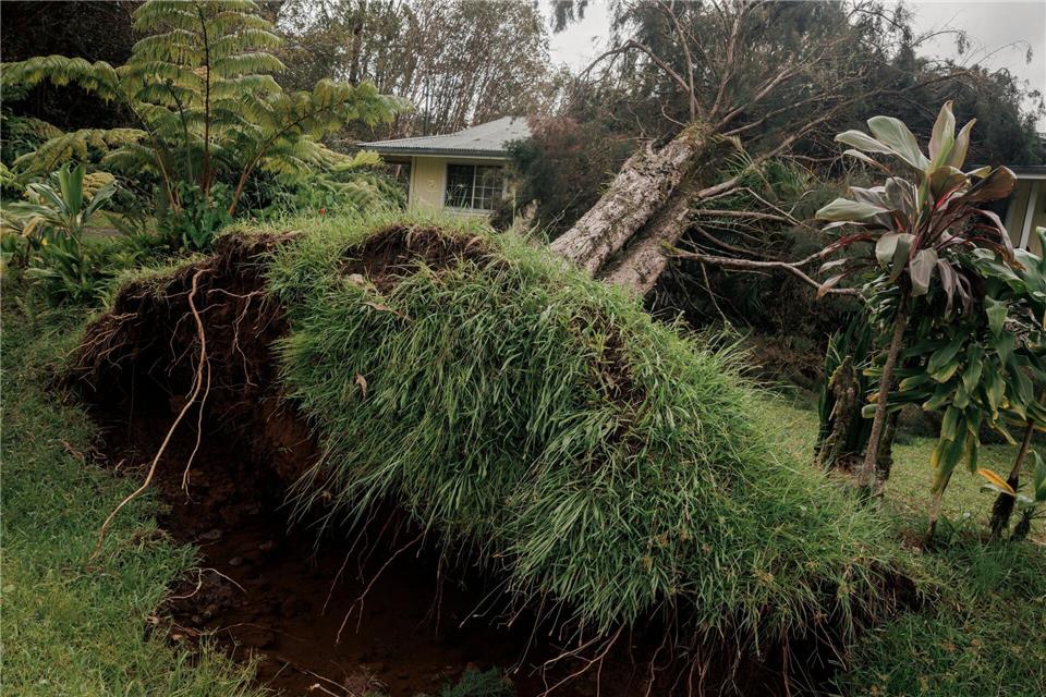Hurrikan „Lala“ hat auf Hawaiis größter Insel Big Island schwere Schäden hinterlassen.Stephen Lam/San Francisco Chronicle via AP/dpa